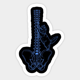 Cat Scratch Fever (blue) Sticker